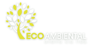 Eco Ambiental Andina