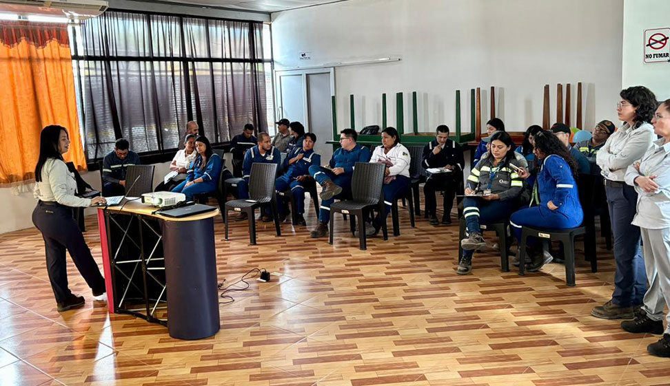 Consultoría ambiental